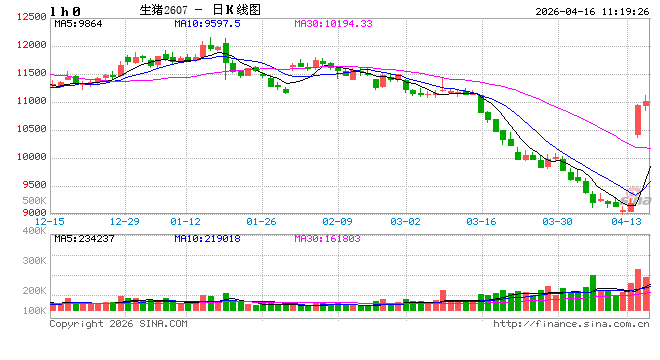 华泰期货：压力有所放缓，生猪行情阶段夯实